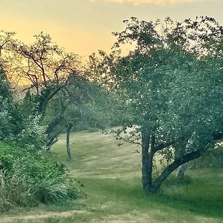 Charming Summer House With Access *