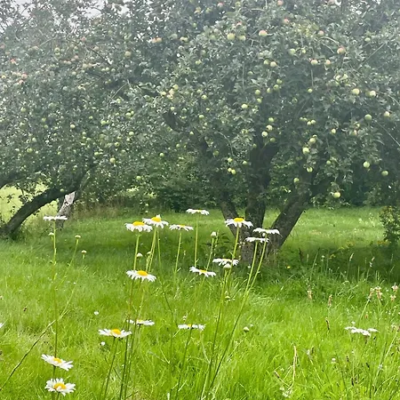 Charming Summer House With Access